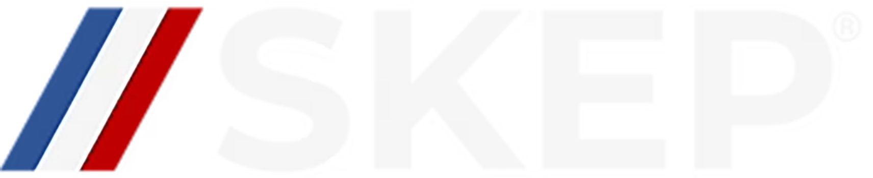 logo skep